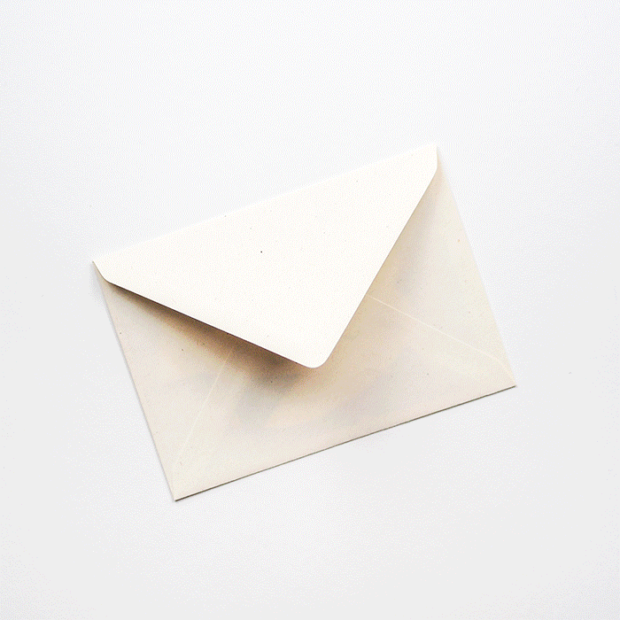 Peace Dove Christmas Card