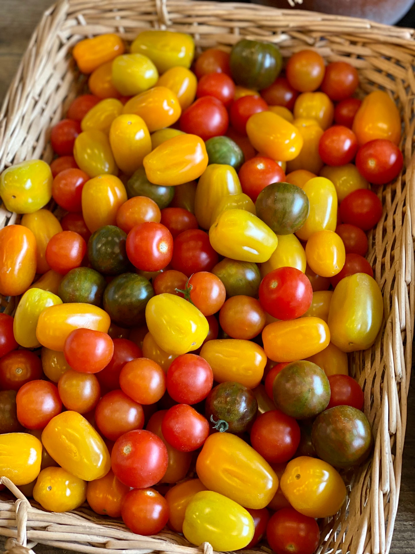 Organic Heirloom Cherry Tomatoes - UK