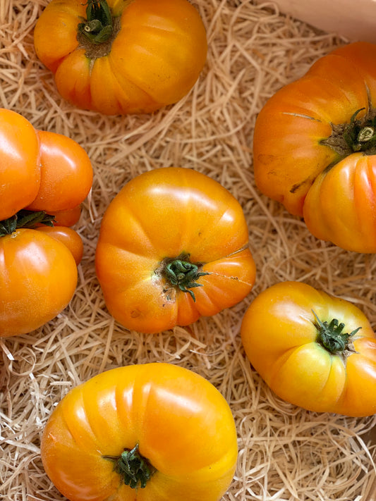 Organic Heirloom Yellow Pineapple Tomatoes