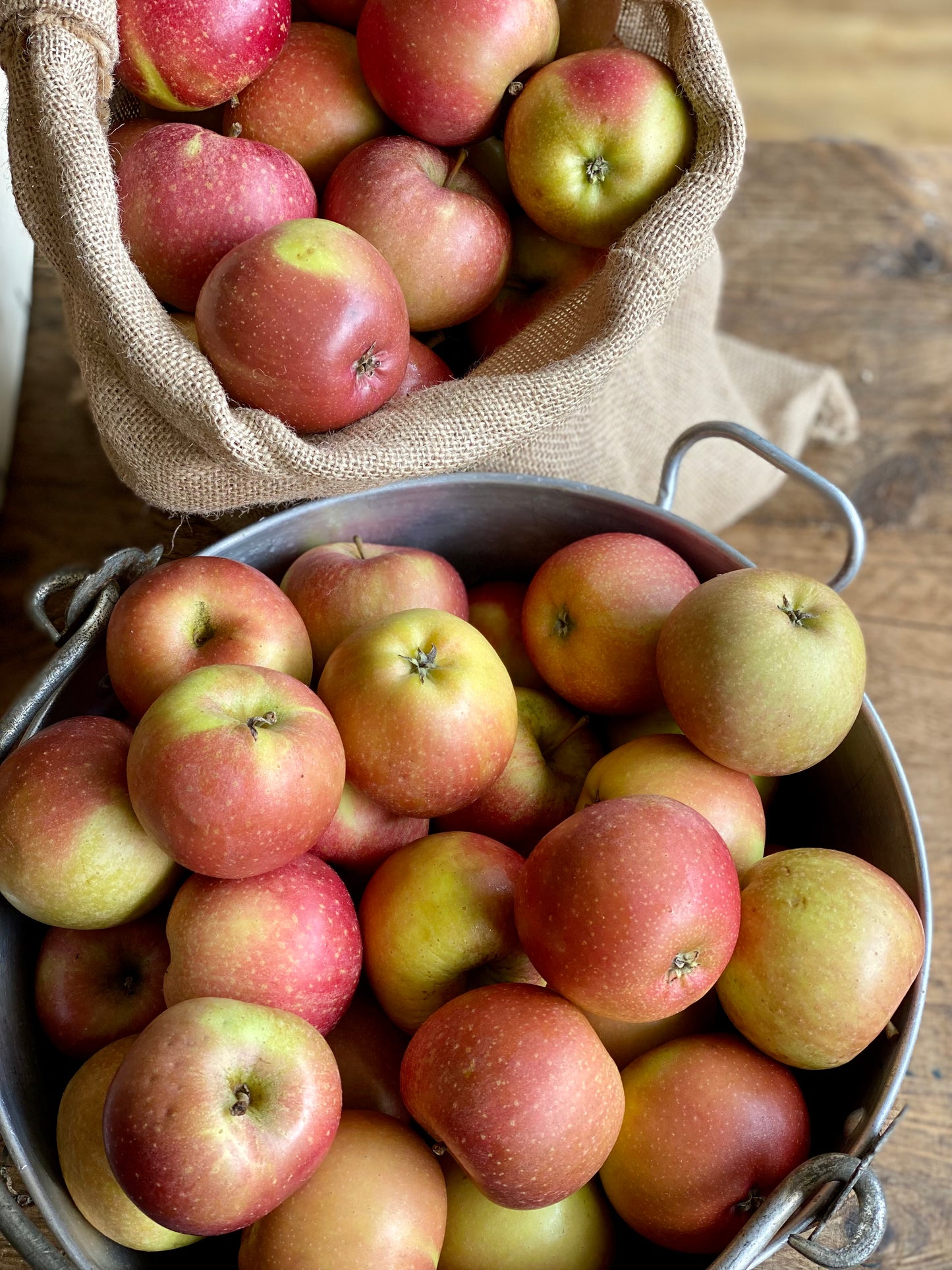 Organic Rosette Apples - UK