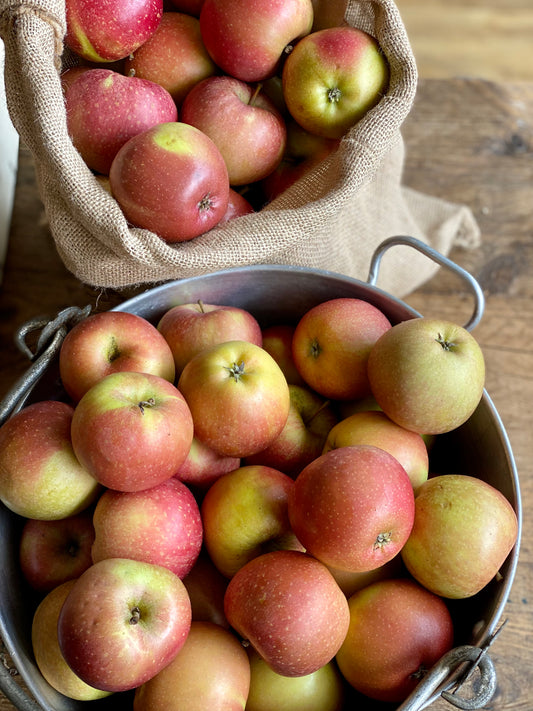 Organic Inored Apples