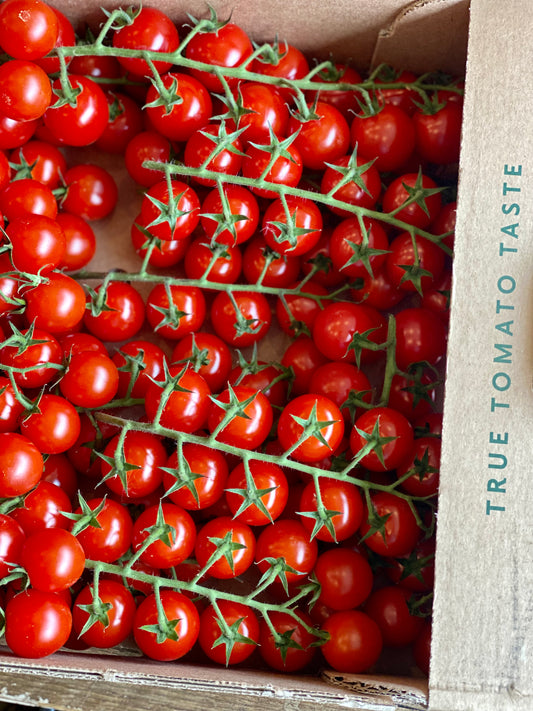 Organic IoW Cherry Vine Tomatoes - UK