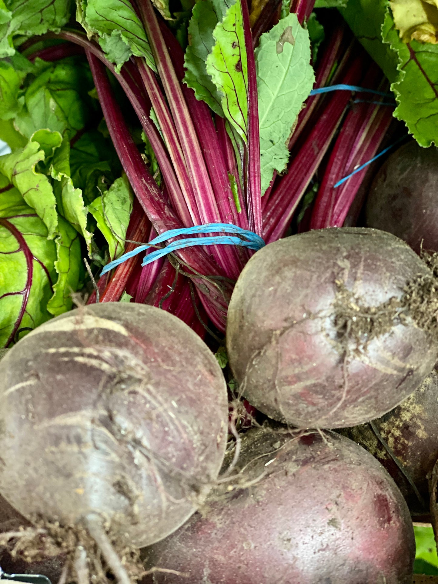 Organic Red Beetroot - UK
