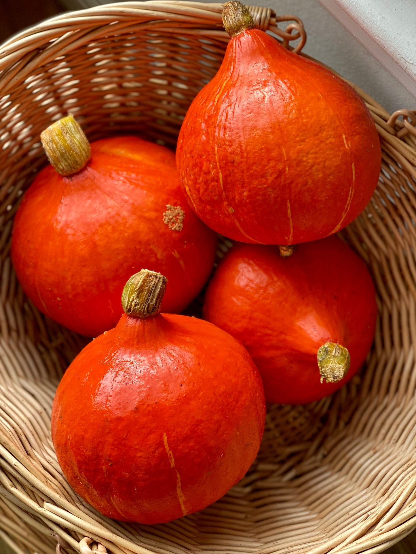 Organic Red Kuri Squash - UK