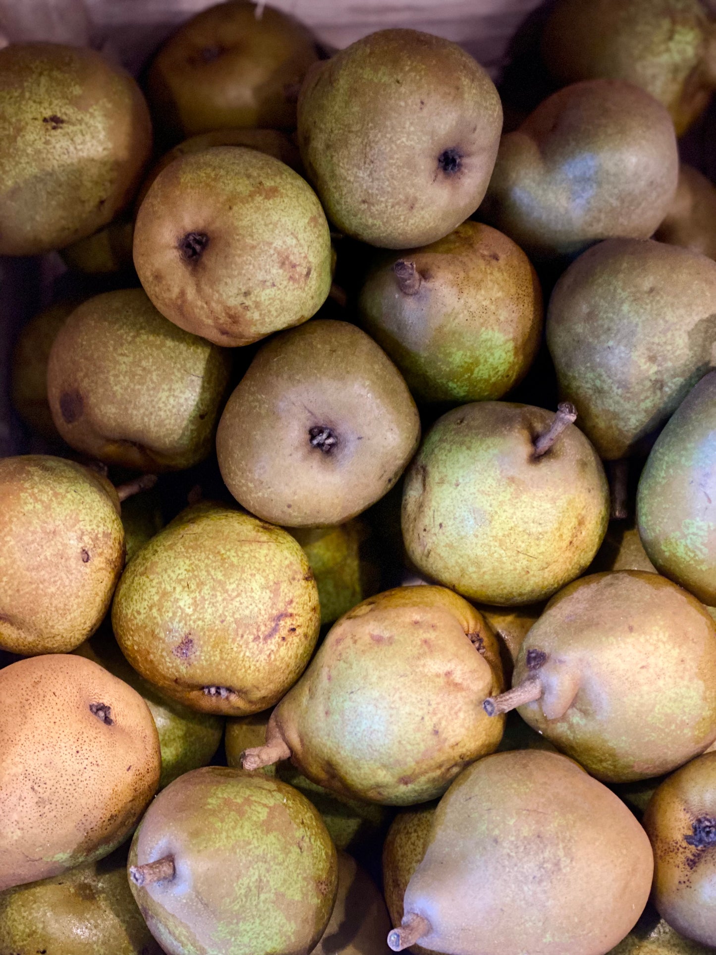 Organic Nashi Pears
