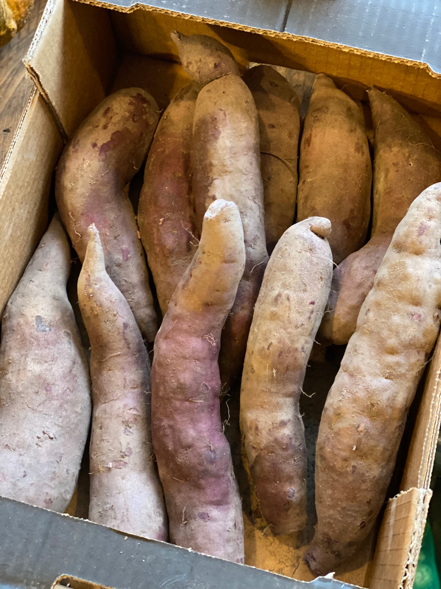 Organic White Sweet Potatoes