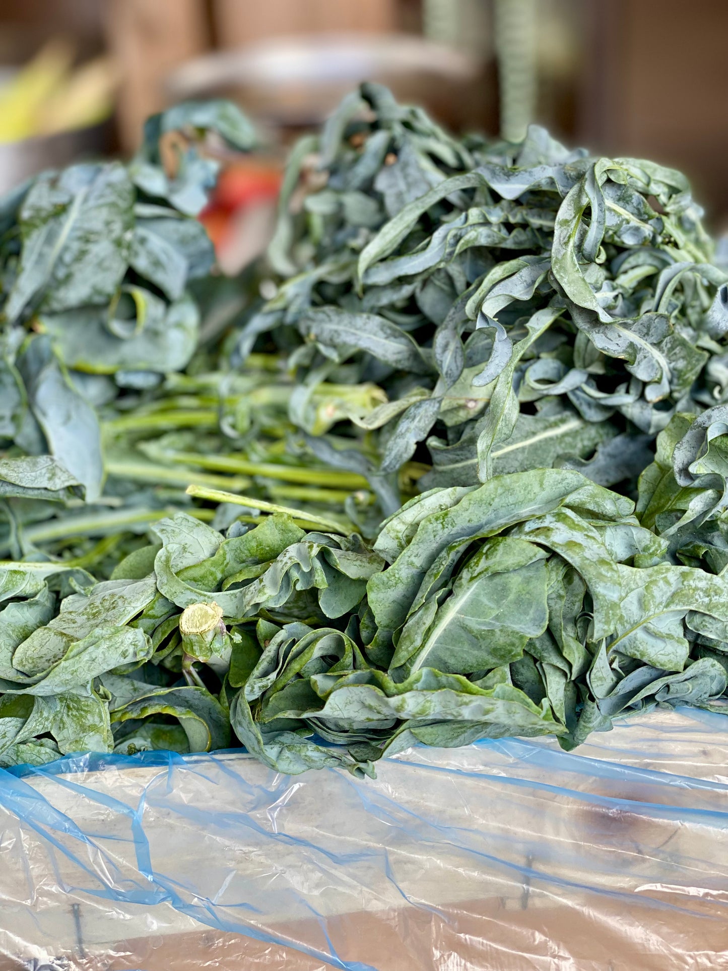 Organic Stir Fry Greens - UK