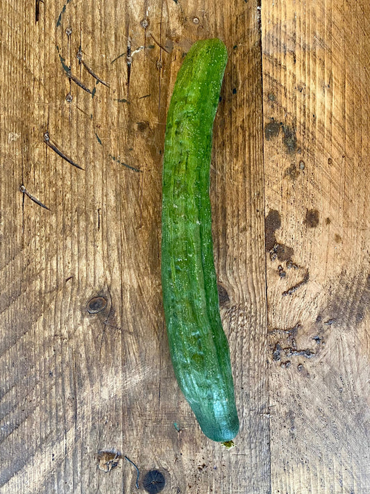 Organic Cucumber - UK