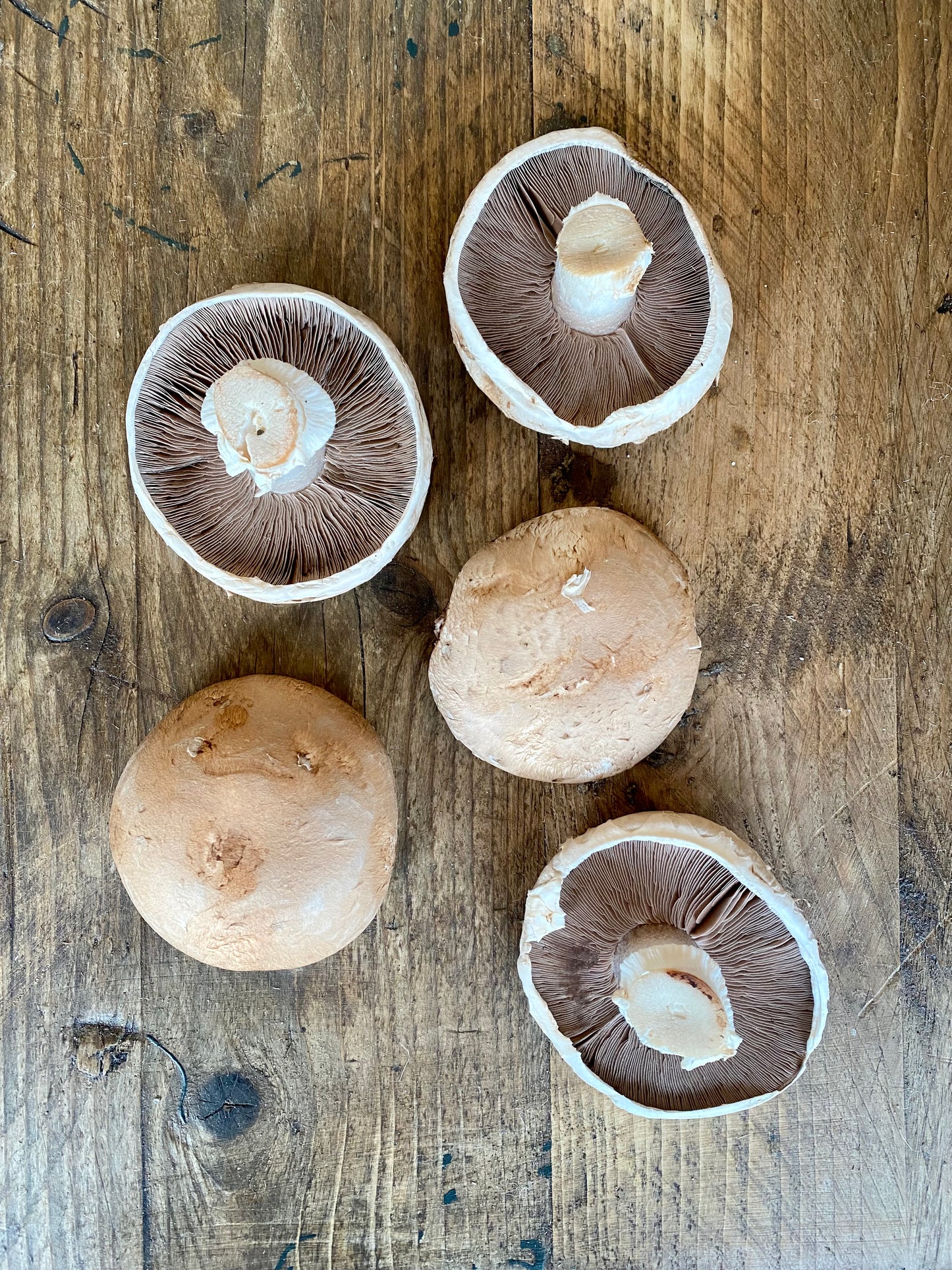 Organic Portobello Mushrooms - UK