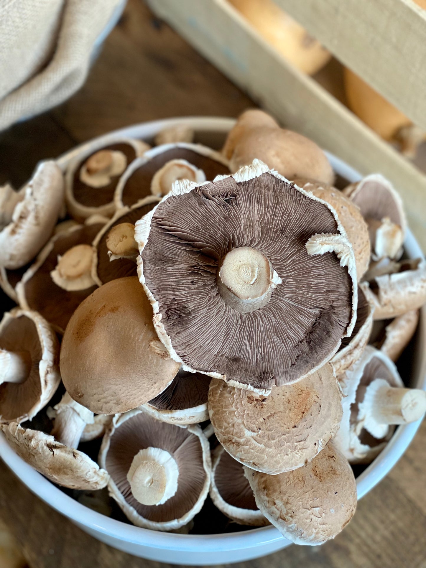 Organic Portobello Mushrooms - UK