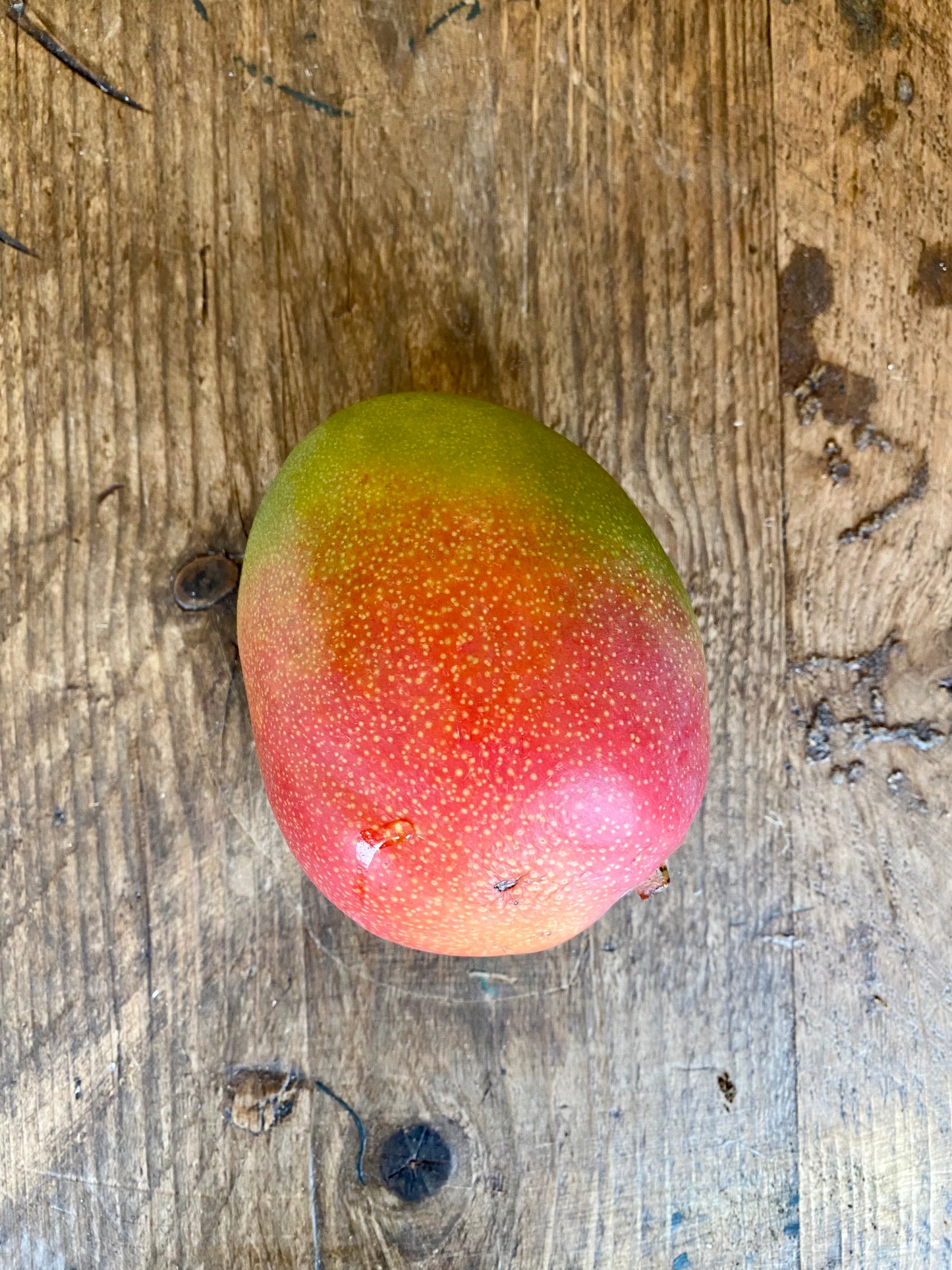 Organic Kent Mangoes