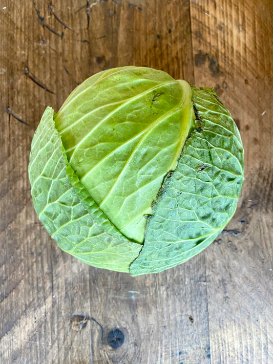 Organic White Cabbage - UK