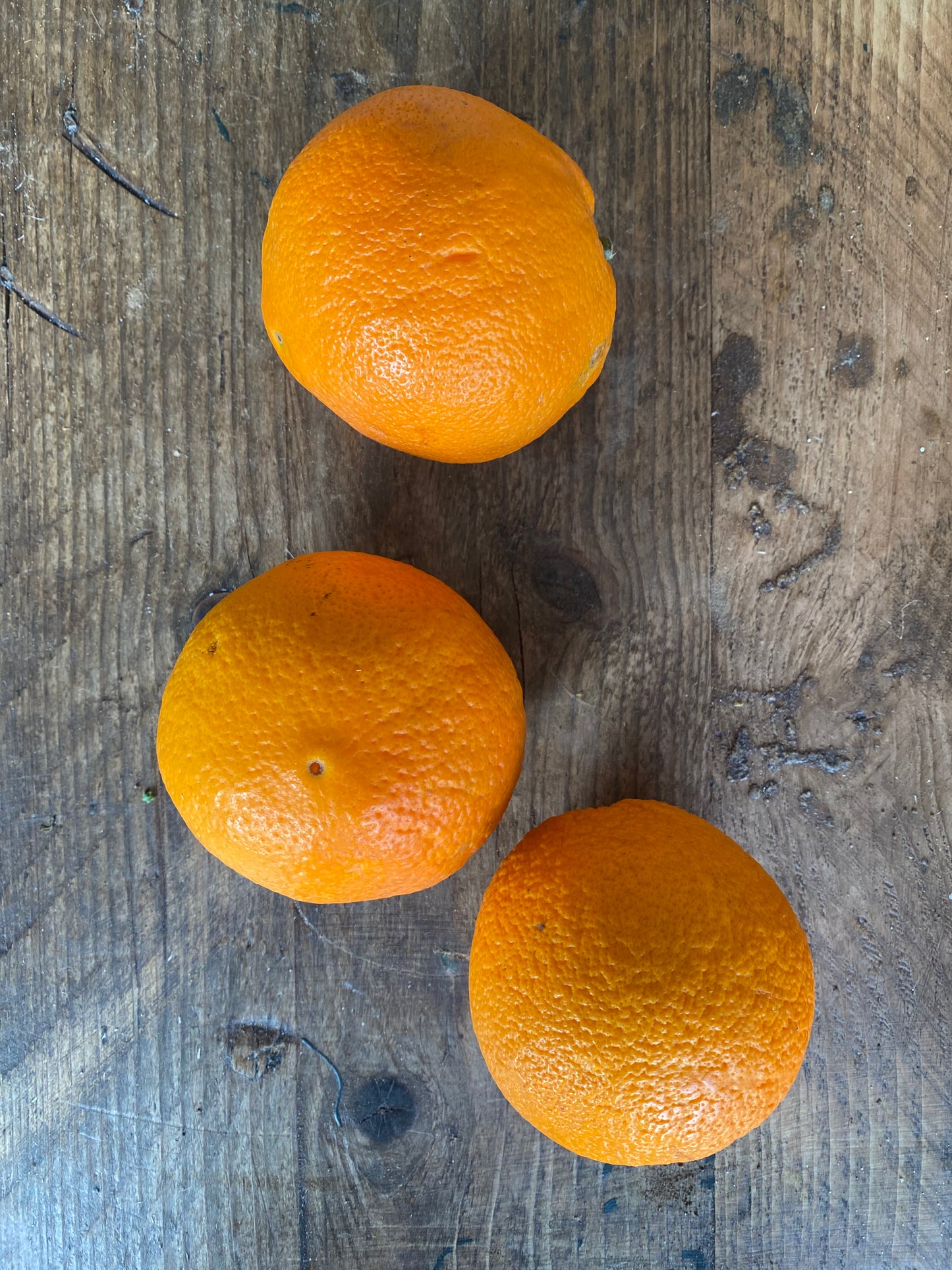 Organic Navelina Oranges