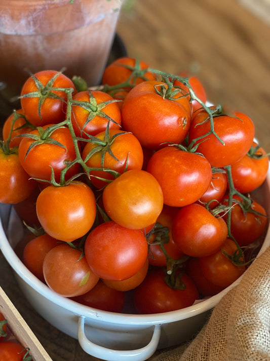Organic Round Tomatoes