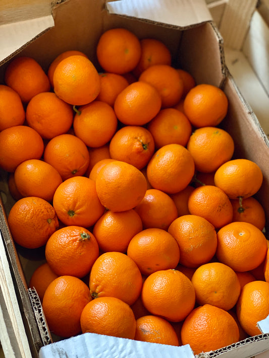 Organic Clemenrubi Clementines