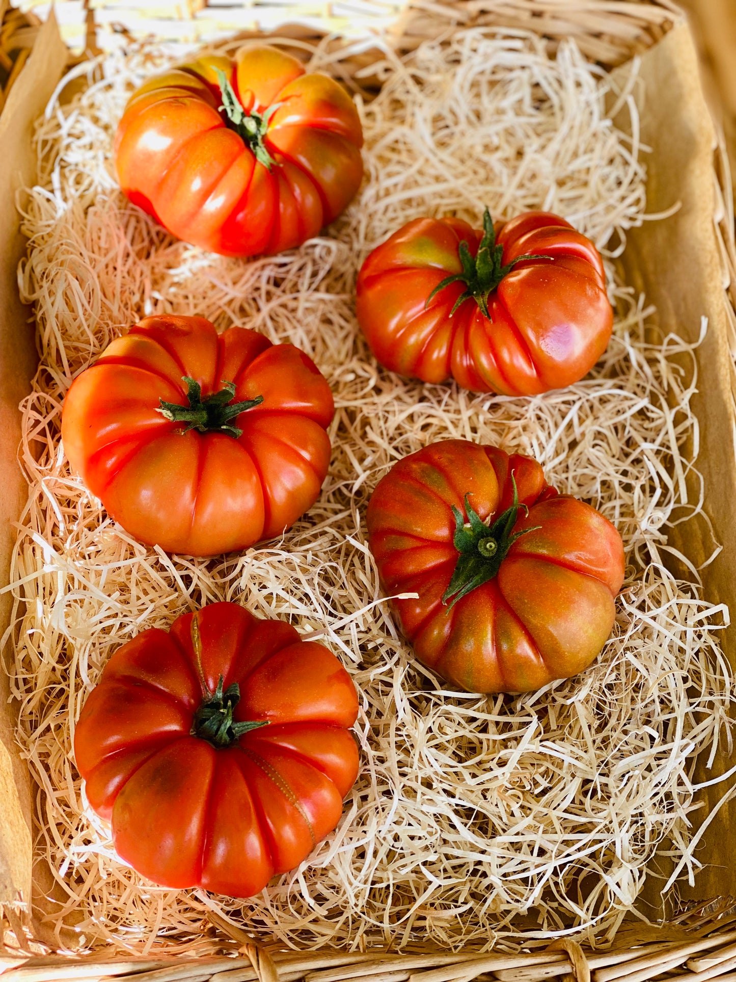 Organic Heirloom Tomatoes