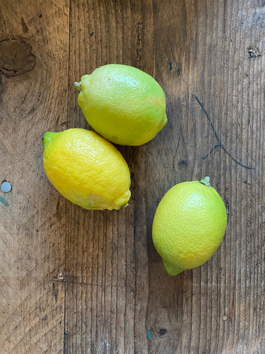 Organic Verna Lemons
