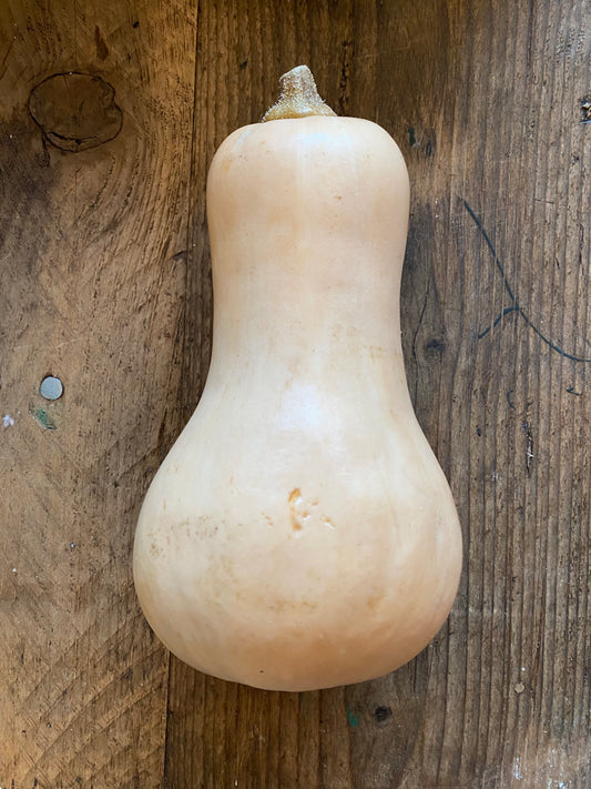 Organic Striped Butternut Squash - UK