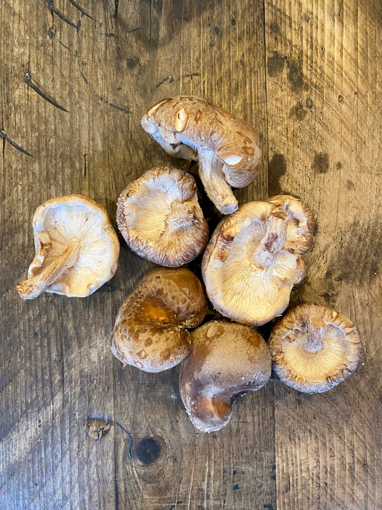 Organic Shiitake Mushrooms