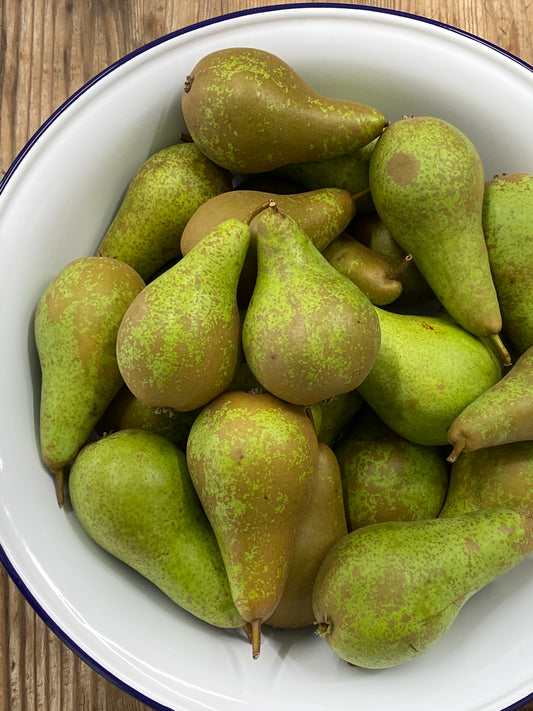 Local Pears - Marchington, UK