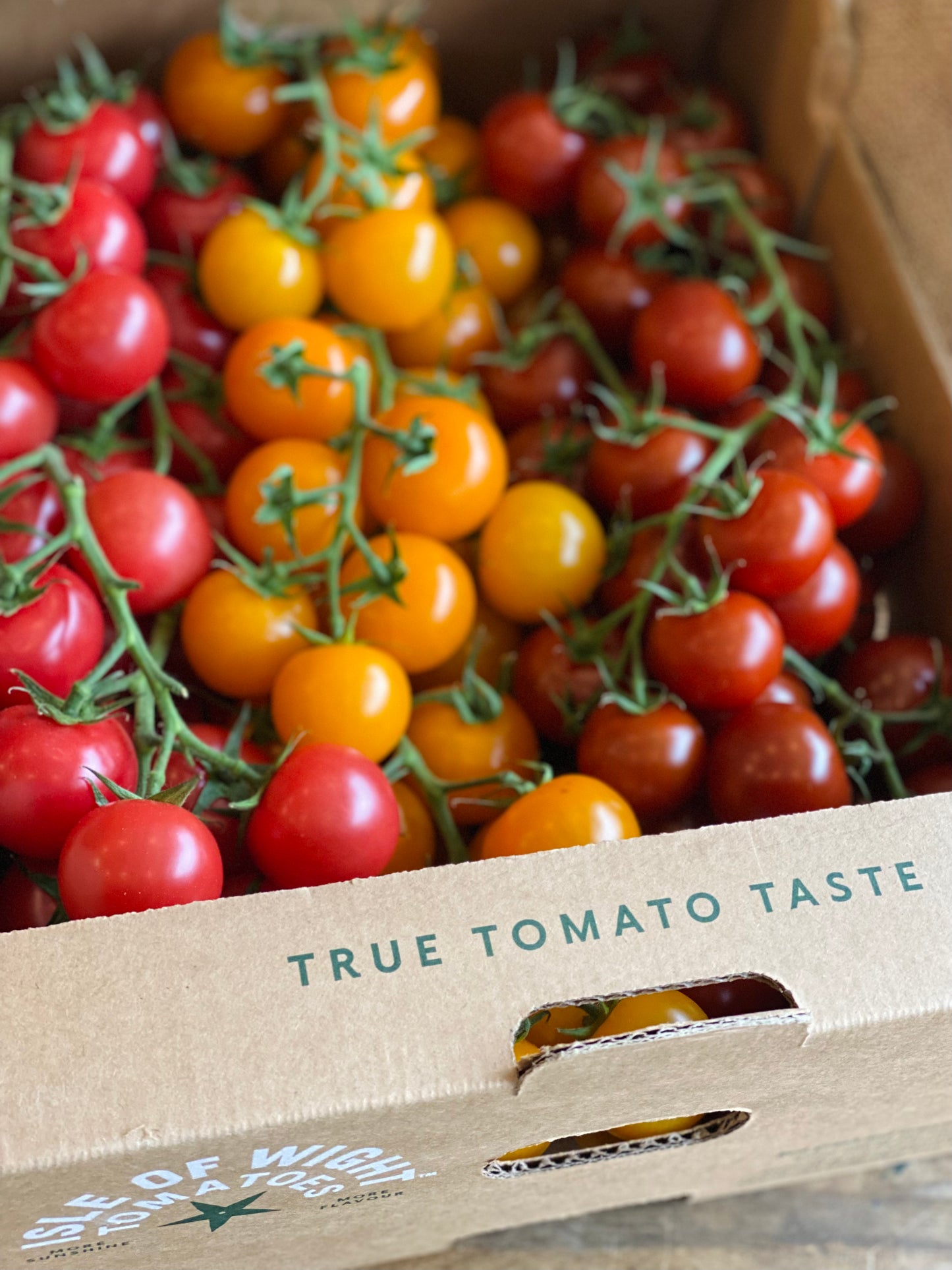 Organic IoW Cherry Vine Tomatoes