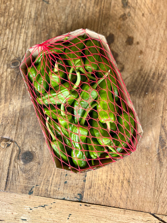 Organic Japanese Shishito Peppers - UK