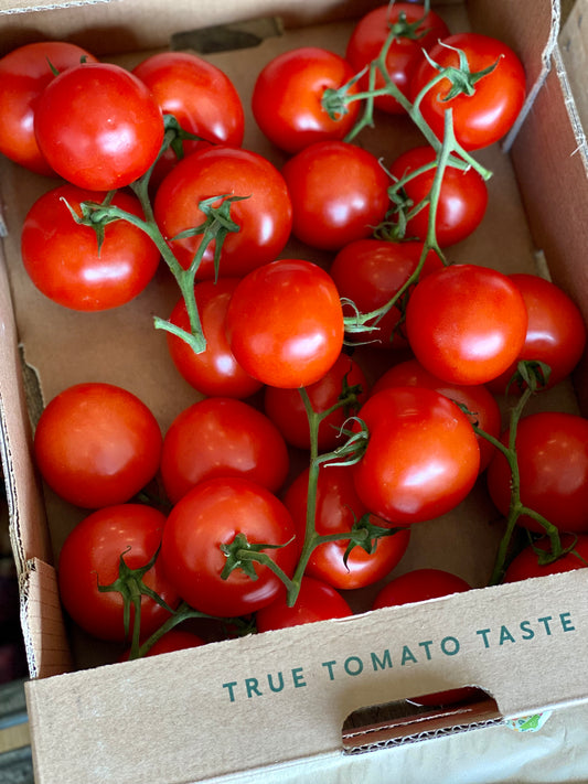 Organic IoW Classic Vine Tomatoes