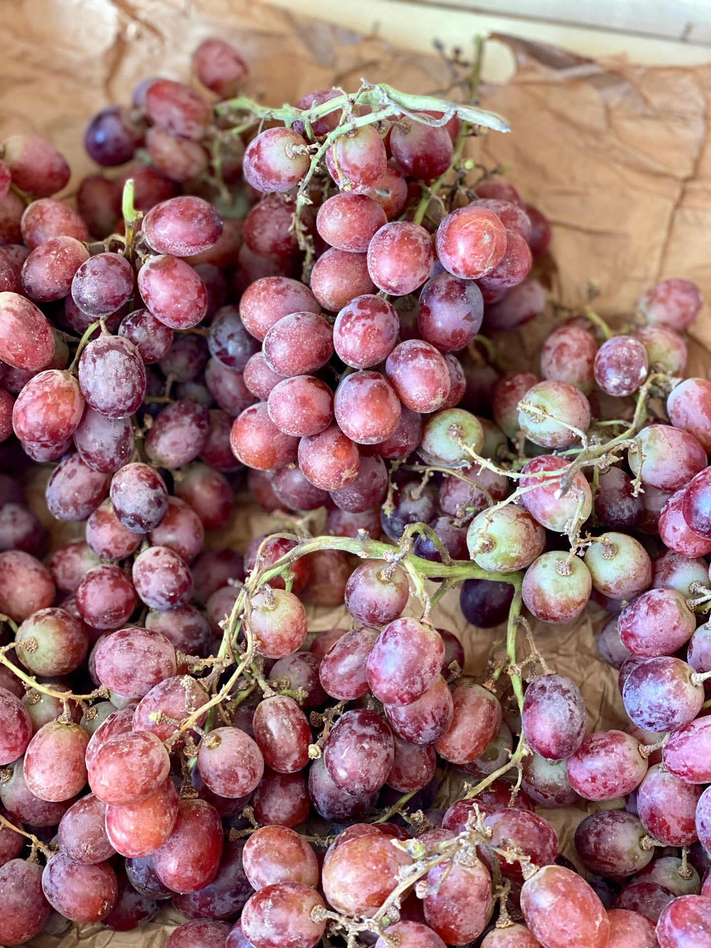 Organic Black Cardinal Grapes 400g