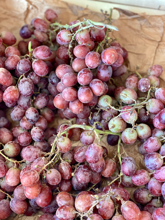 Organic Black Cardinal Grapes 400g