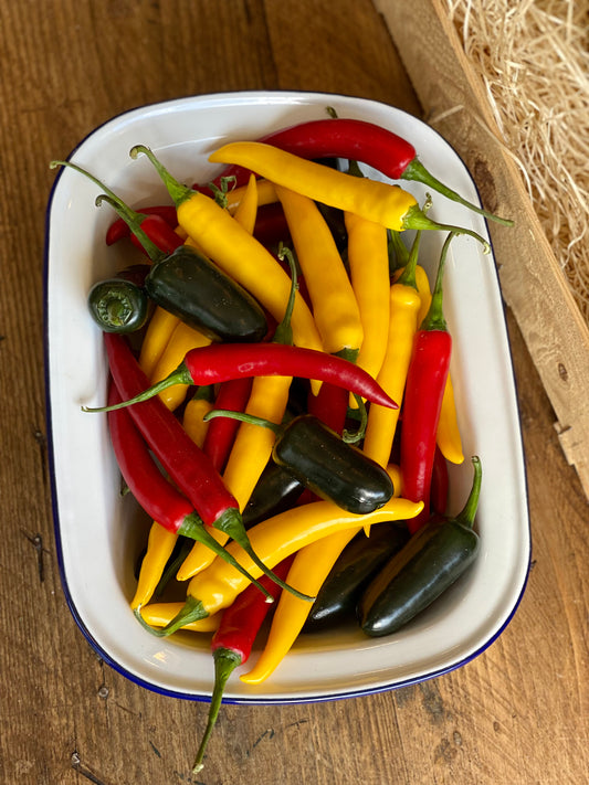 Organic Mixed Chillies - UK