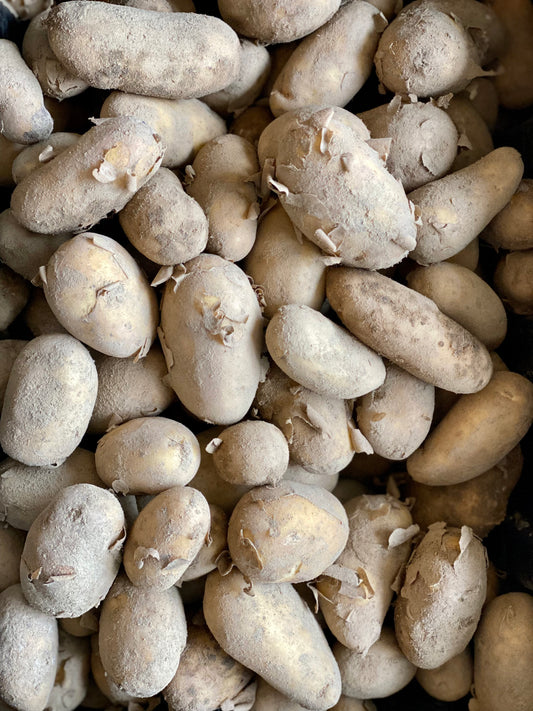 Organic Jersey Royal New Potatoes - UK