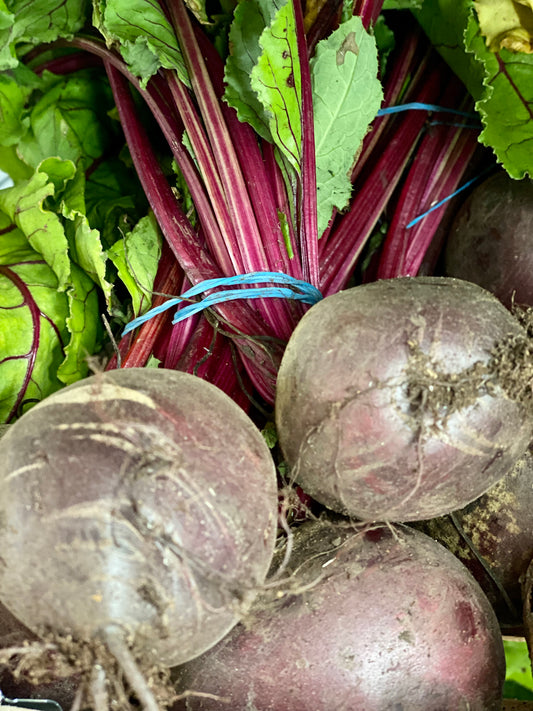 Organic Bunched Rainbow Beetroot - UK