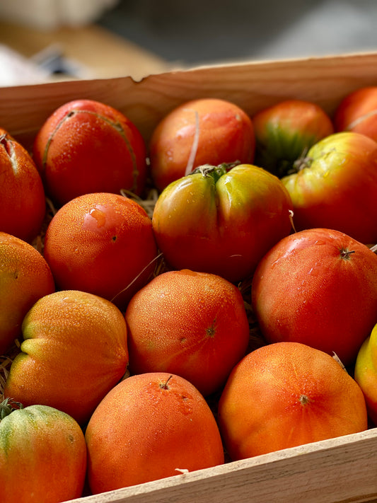Organic Heirloom Coeur de Boeuf Tomatoes