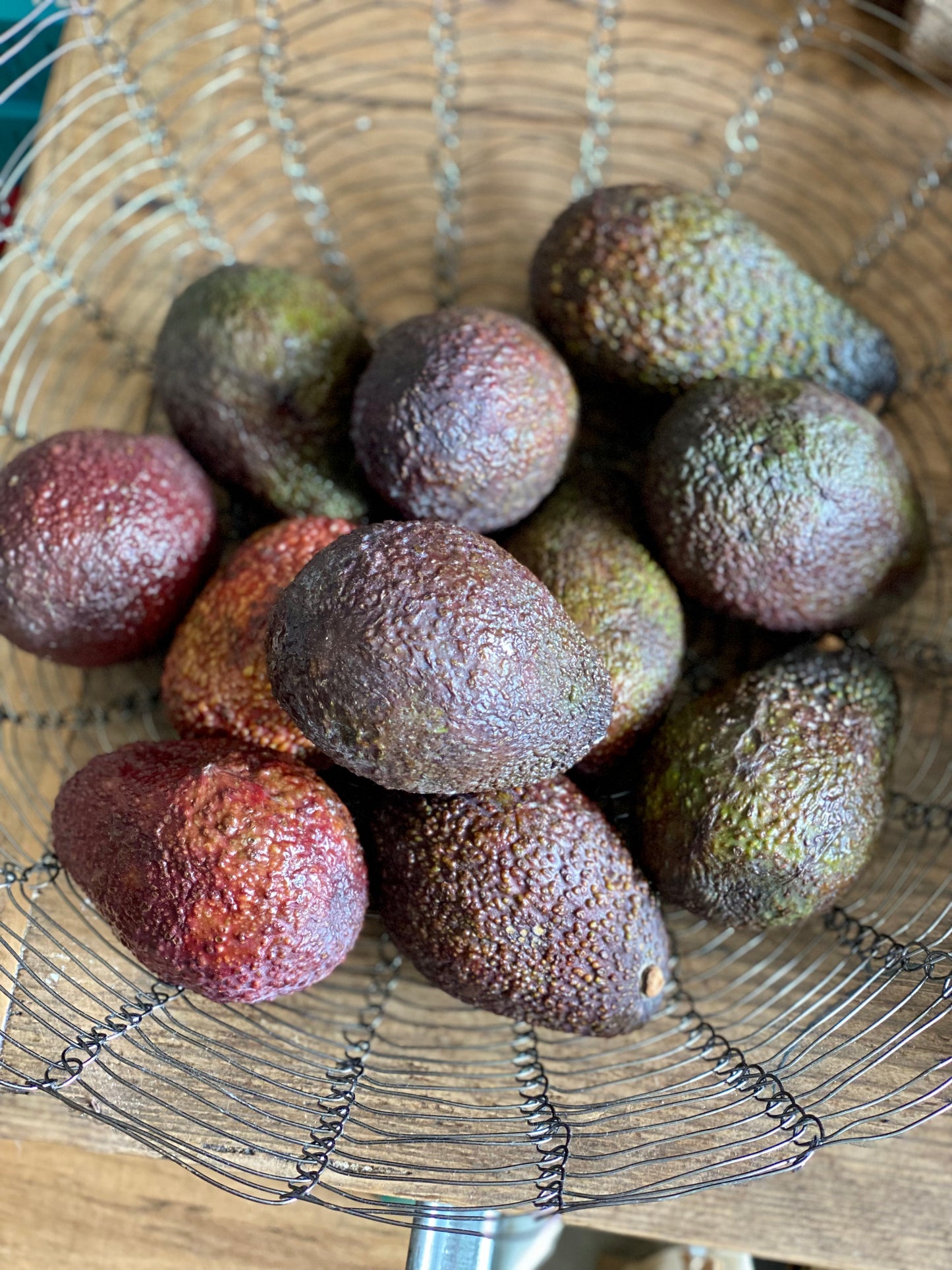 Organic Hass Avocados