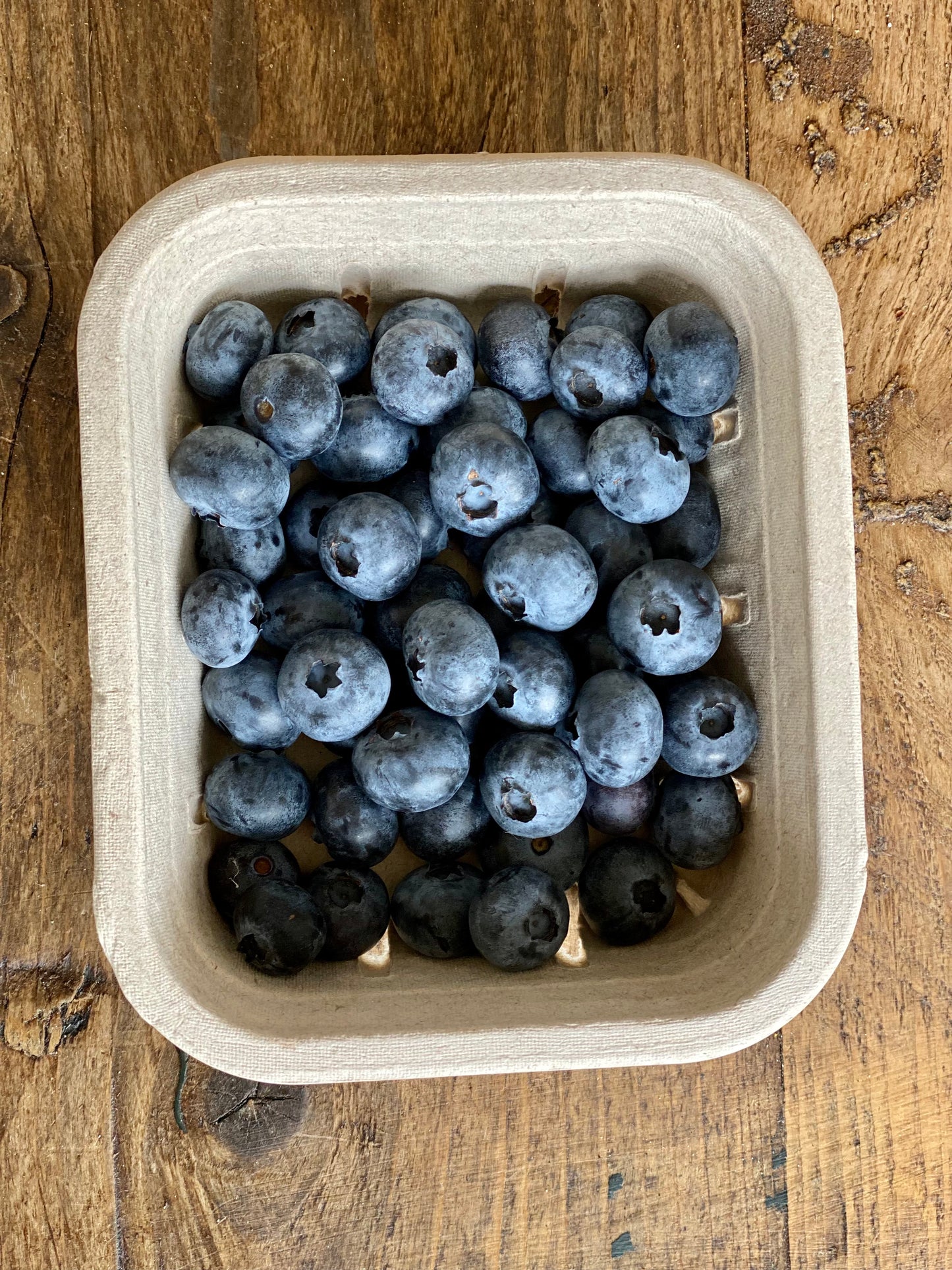 Organic Blueberries