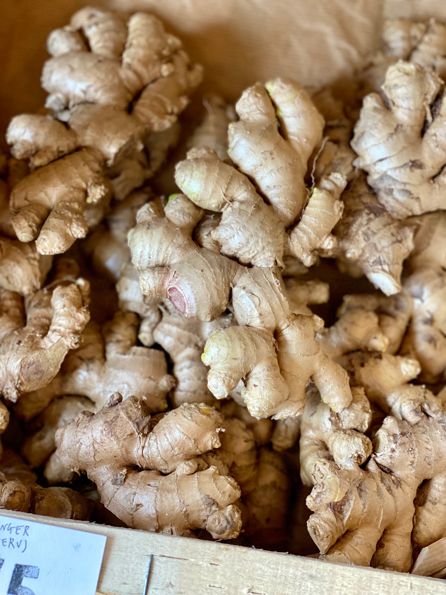 Organic Ginger