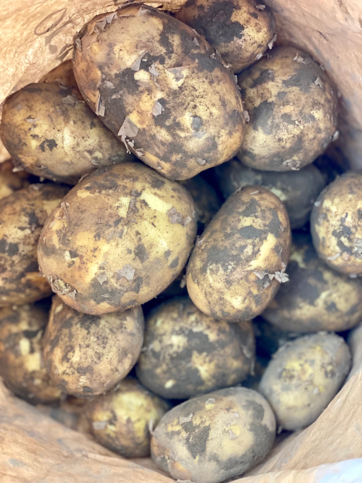 Organic Twister Potatoes - UK