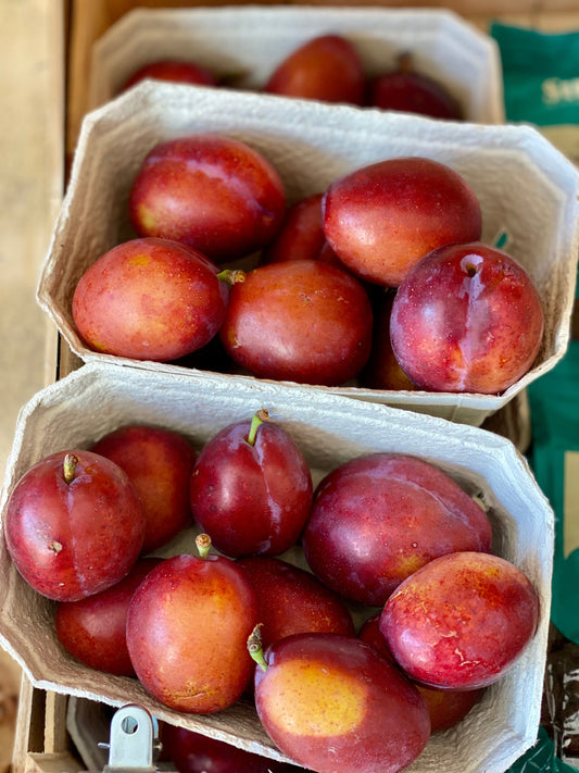 Organic Greengages - UK