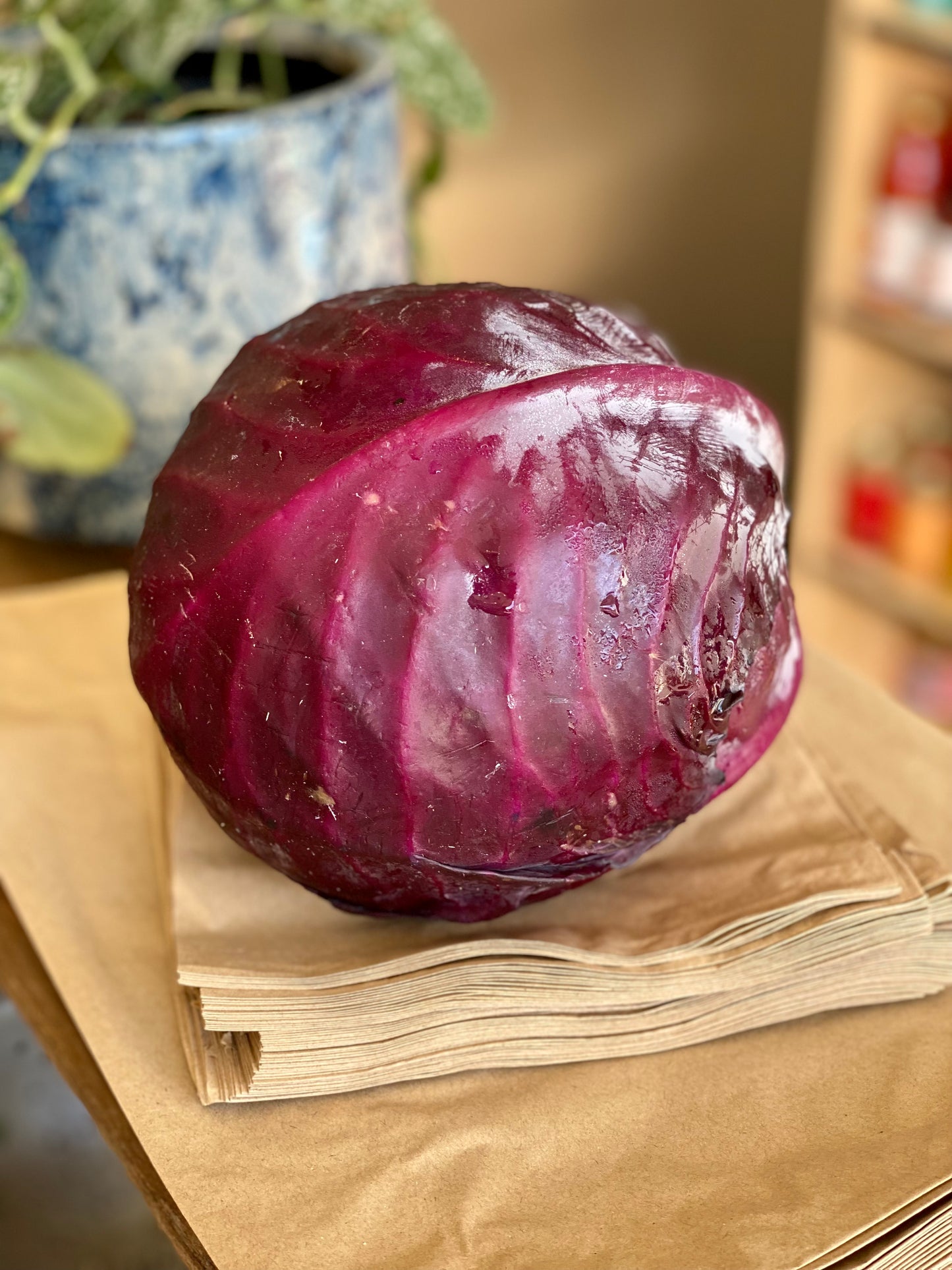 Organic Red Cabbage - UK