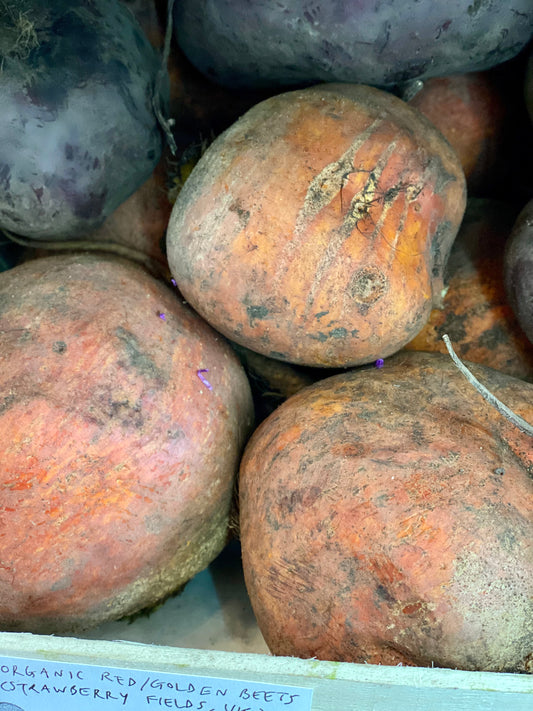 Organic Baby Golden Globe Beetroot - UK