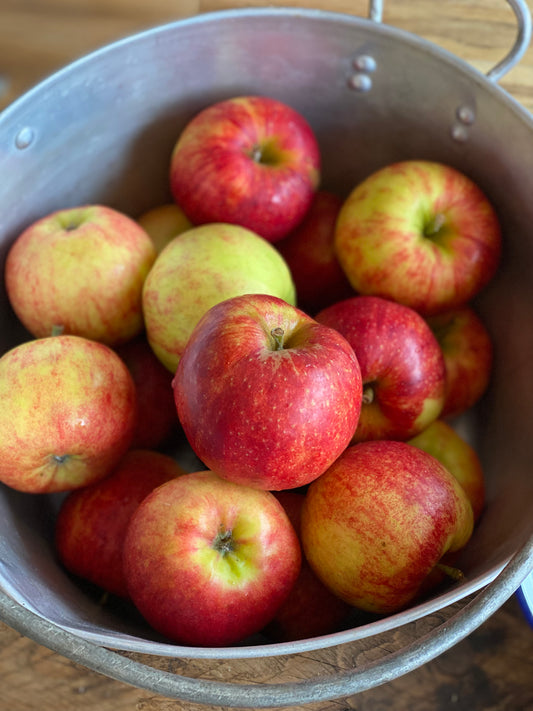 Organic Falstaff Apples - UK