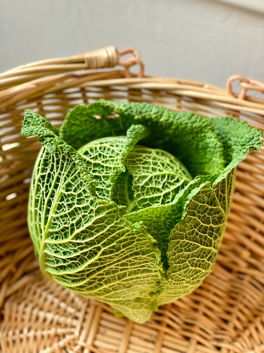 Organic Savoy Cabbage - UK