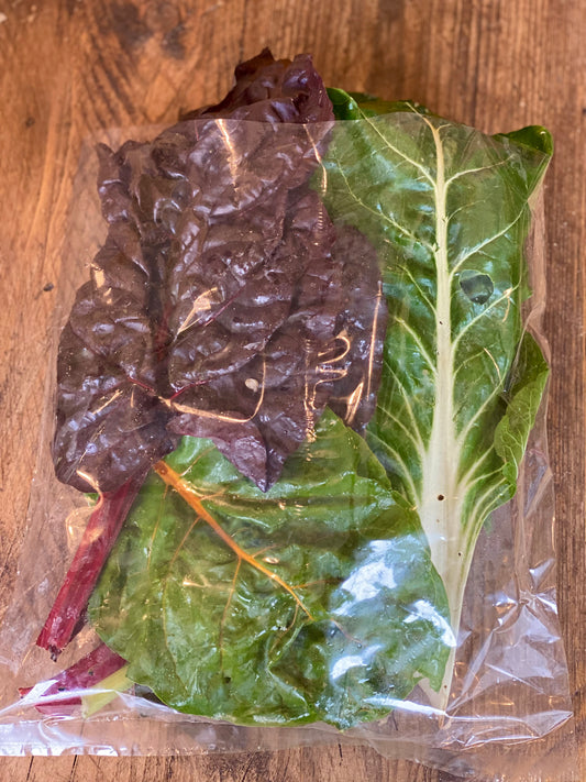 Organic Rainbow Chard - UK