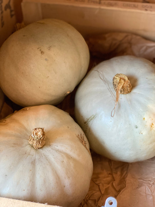 Organic Kabocha Pink Squash - UK