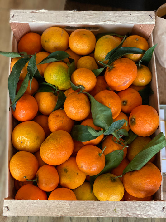 Organic Primasole Mandarins