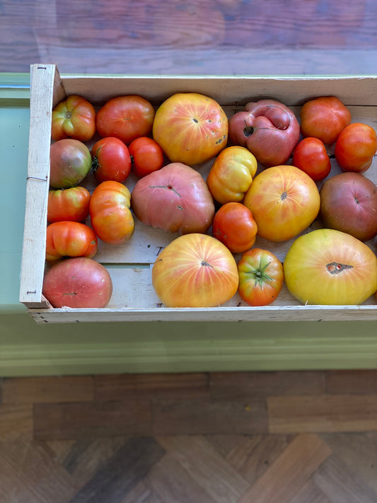Organic Heirloom Tomatoes