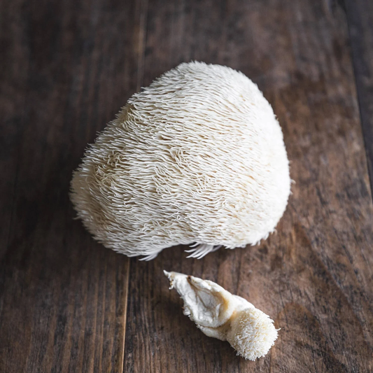 Organic Lions Mane Mushrooms - UK