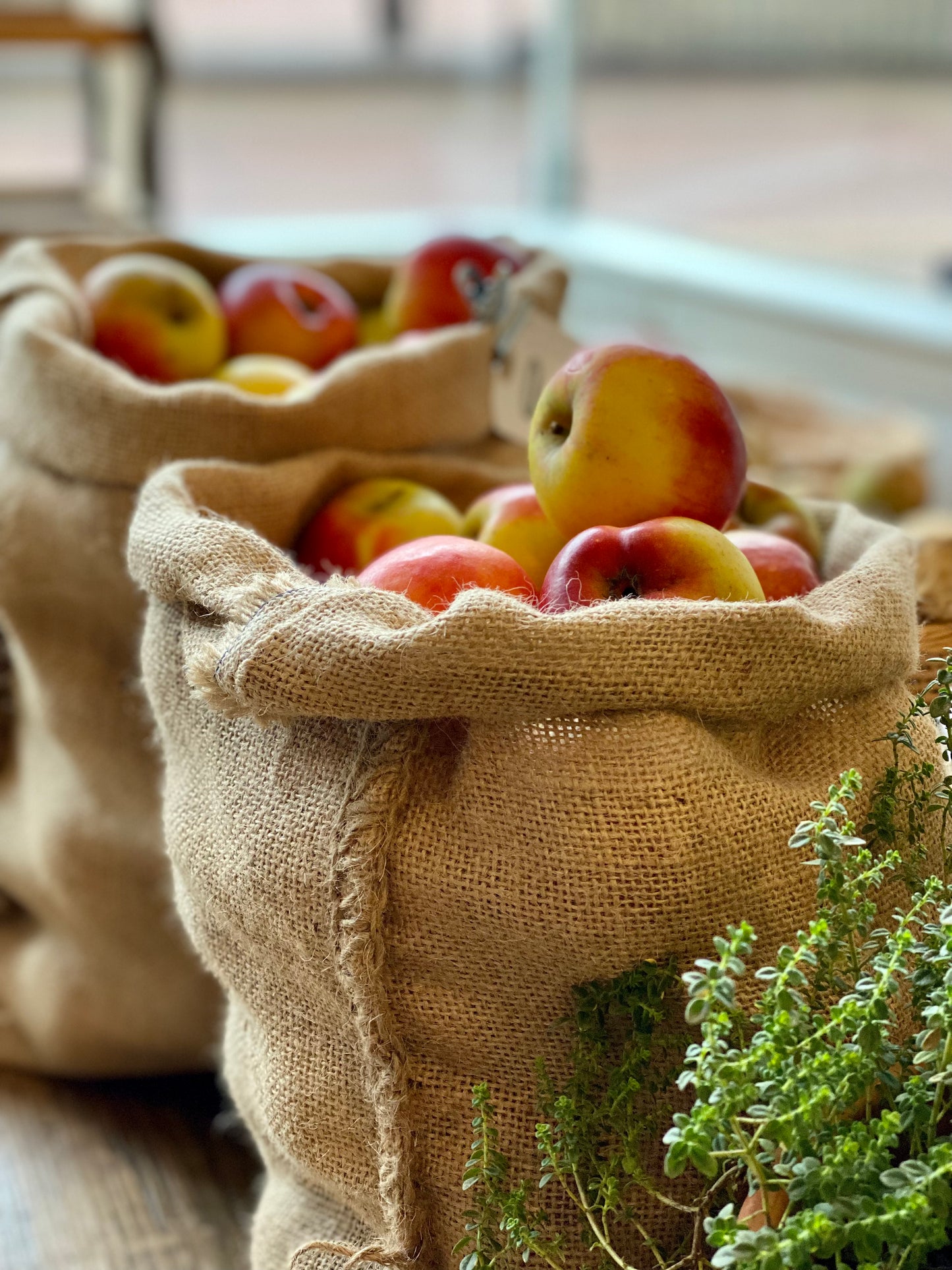 Organic Cabaret Apples - UK