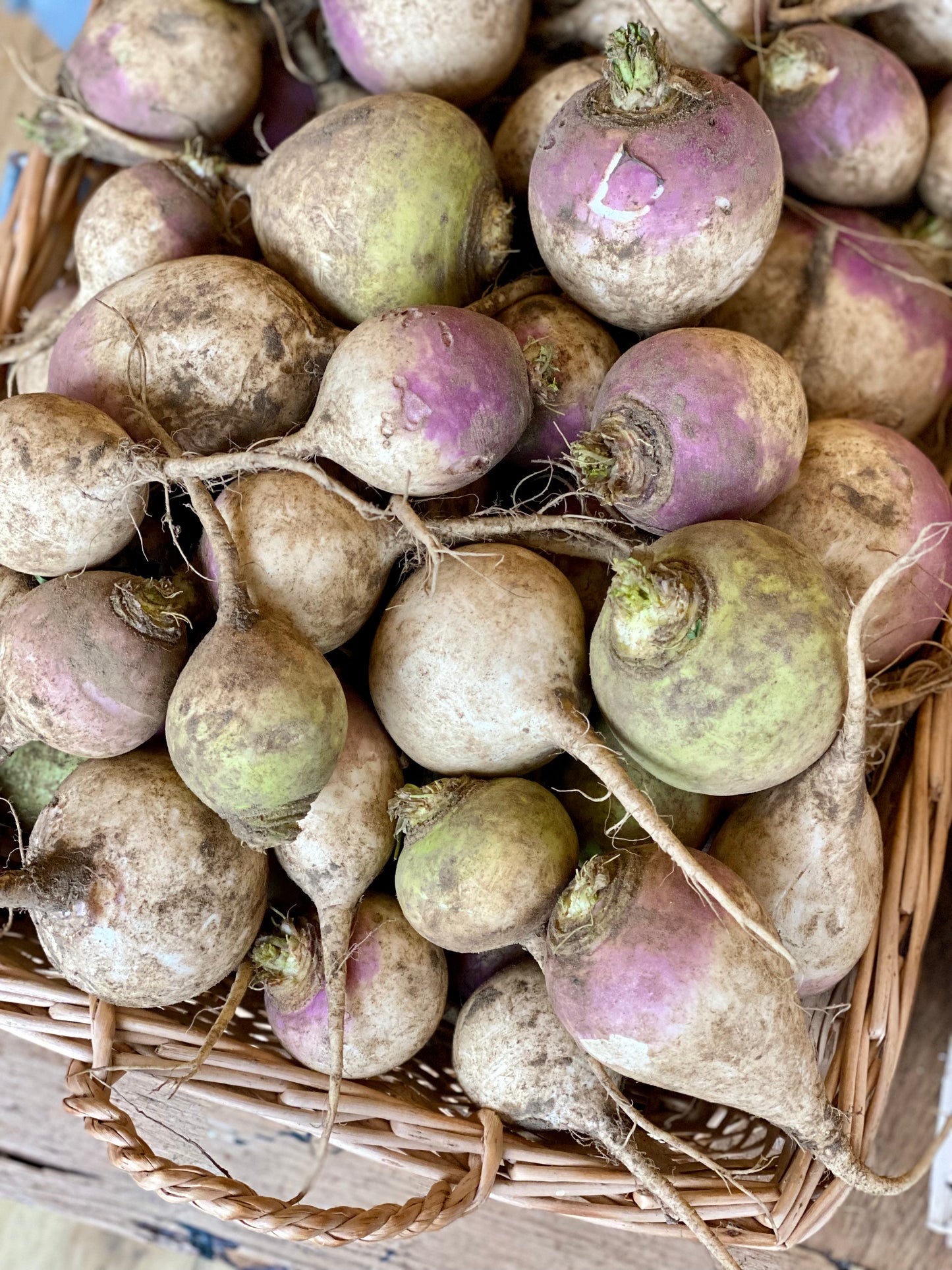 Organic Milan Purple Top Turnips - UK