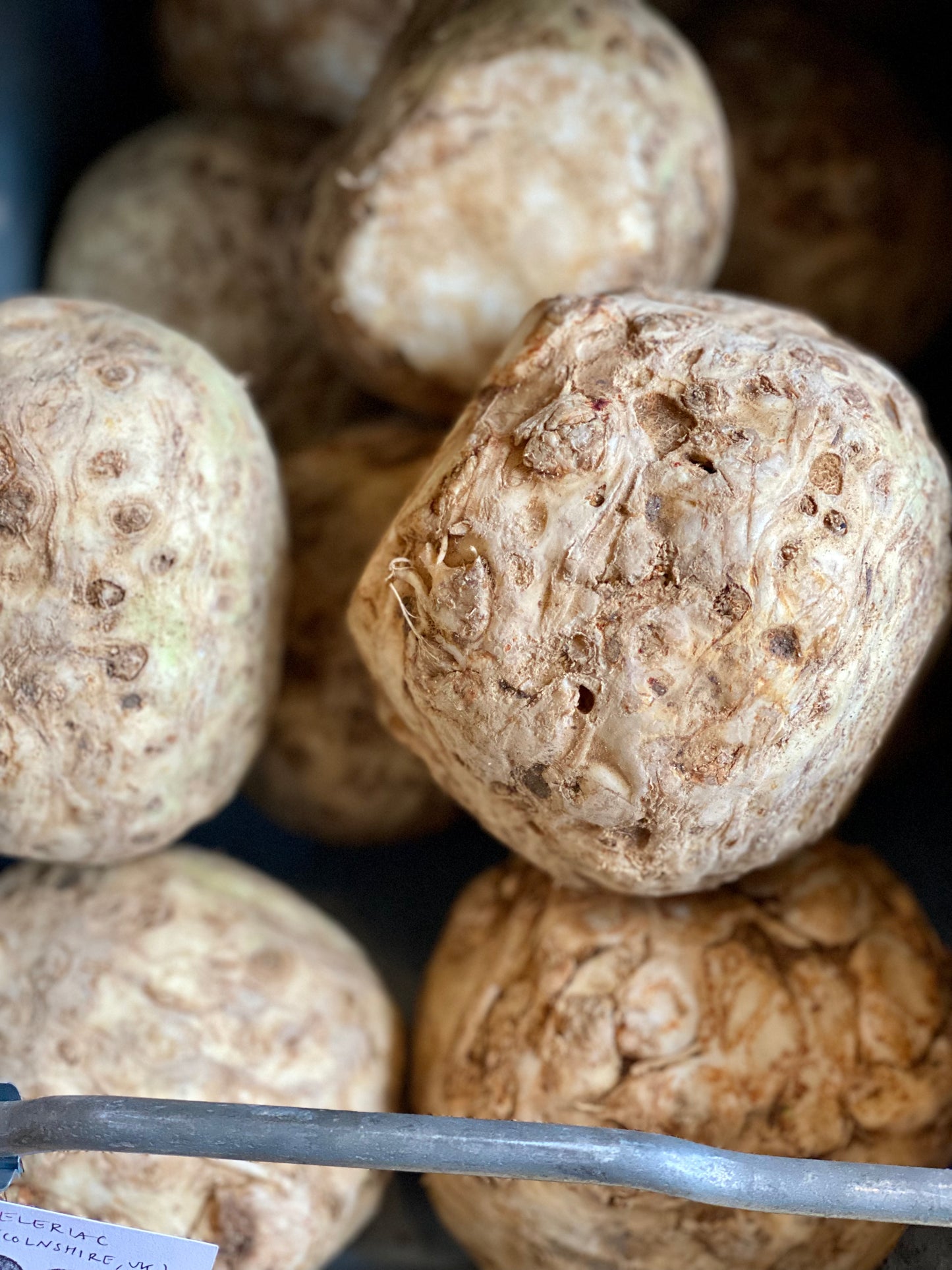 Organic Celeriac with Tops - UK